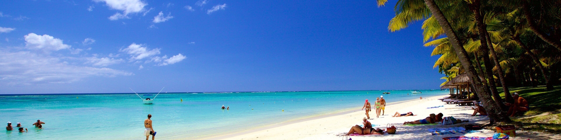 Trou aux Biches featuring a beach as well as a small group of people