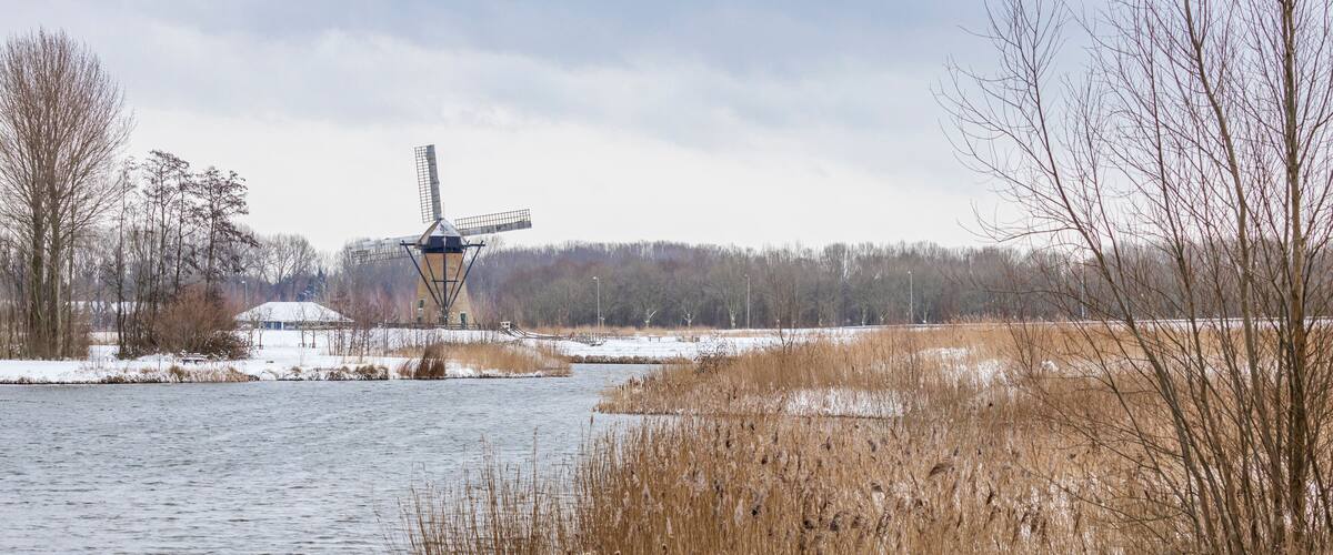 A river with tall reeds, a windmill, and a snowy landscape.