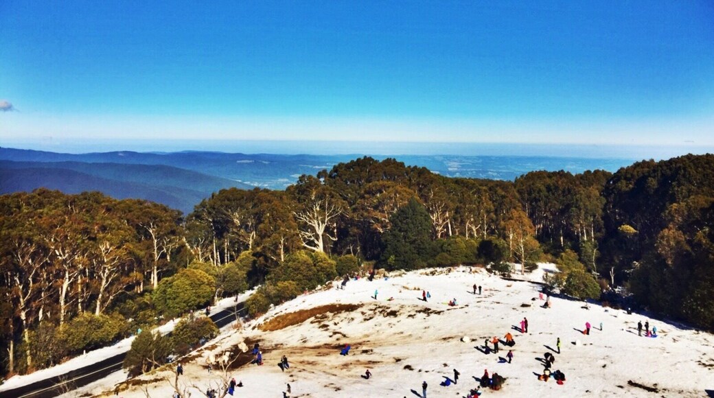All along the observation tower #mountains #snow #adventures
