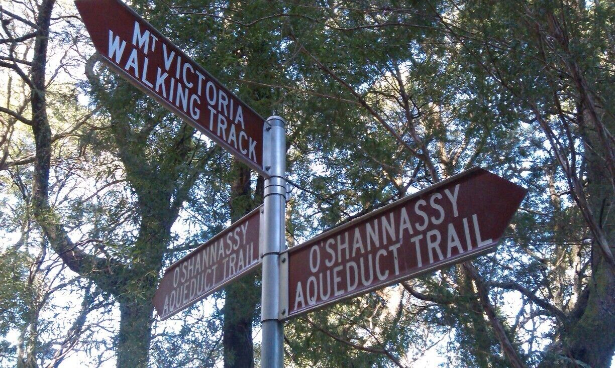 Fantastic walk down to Warburton from the Mt Donna Buang Road. Steep...but a good walk..we are cheating a bit as we were dropped at the top of the walk abd being collected at the base in Warburton!:-D