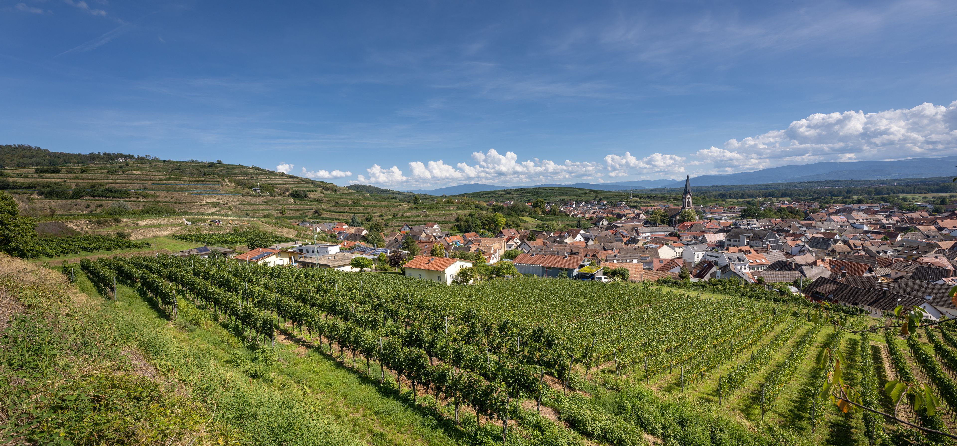 Ihringen