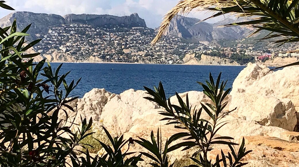 A view through the palm trees.