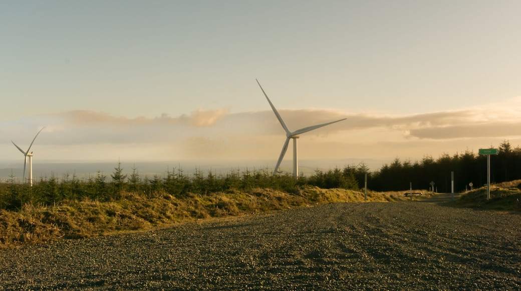 Irlandia okolice Arklow farma wiatrowa