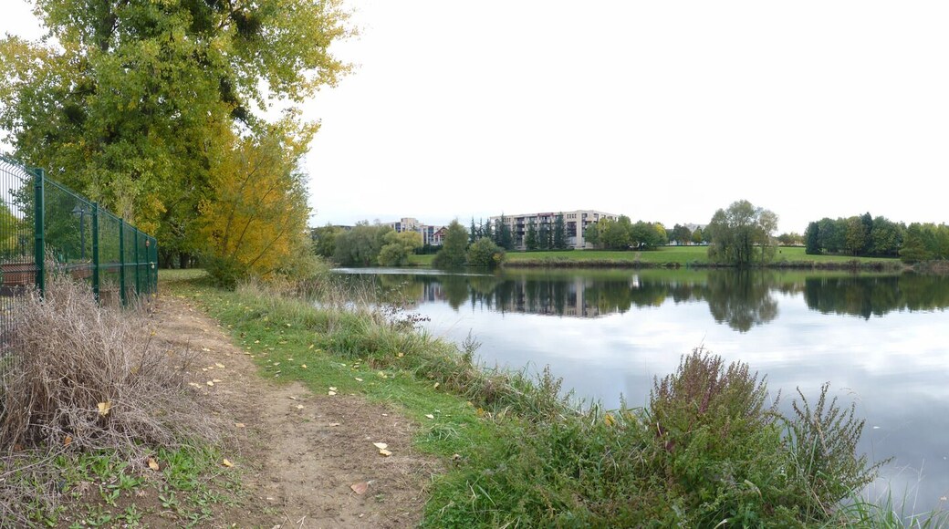 Panorama de l'étang de Maubuée