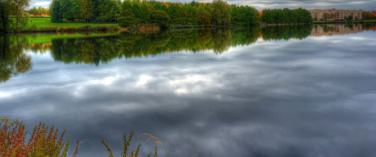 Reflets sur l'étang de Maubuée
