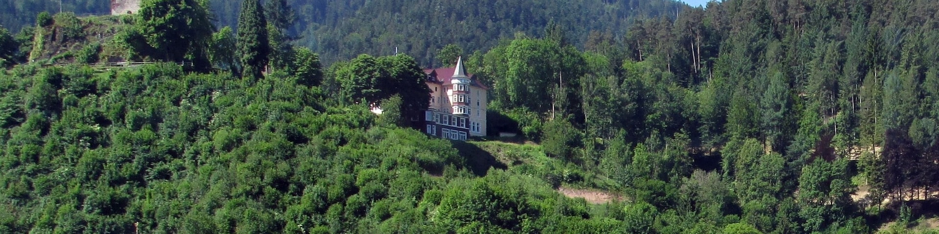 Burgruine und Schloss Hornberg im Schwarzwald