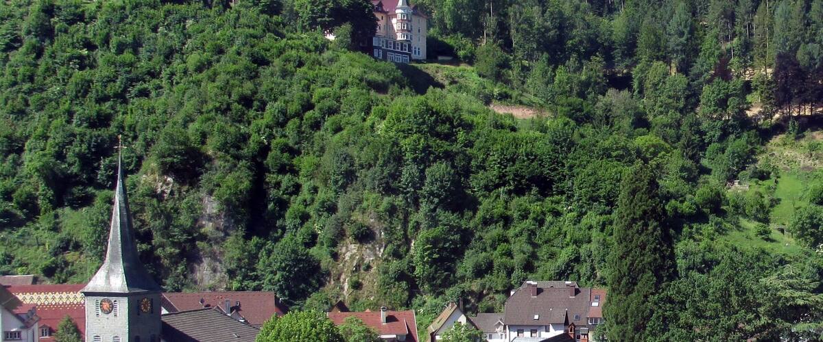 A hilltop town with a church spire, a castle, and a large house surrounded by dense forest.