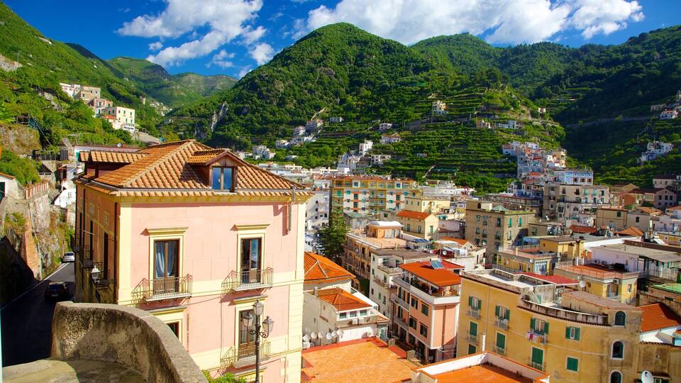 A coastal town with terraced vineyards, colorful buildings, and a mountainous backdrop.