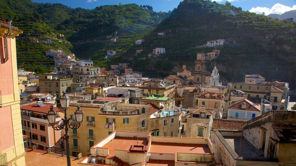 A coastal town with terraced vineyards, historic buildings, and a prominent church.