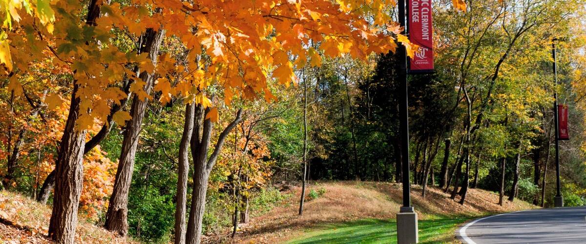 The drive back to the college.