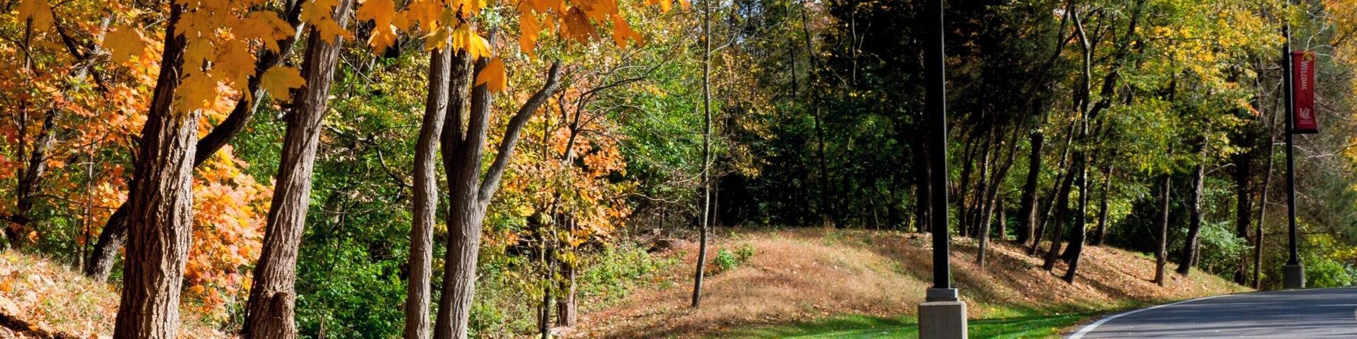 The drive back to the college.