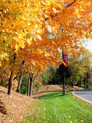 The drive back to the college.