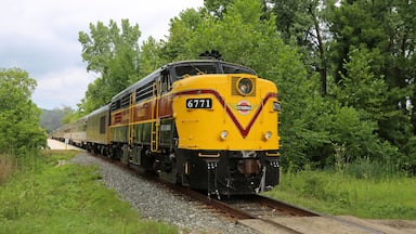 Cuyahoga Train, Ohio