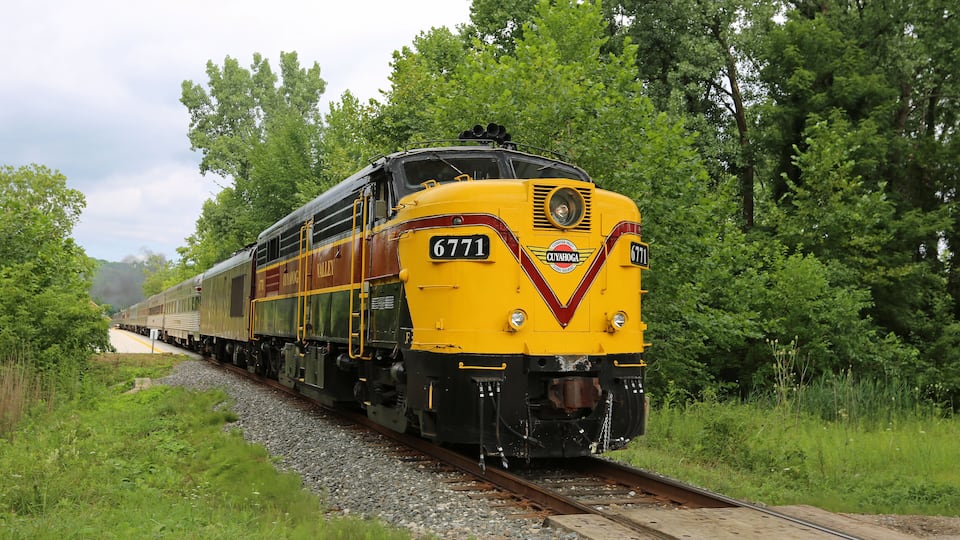 A yellow train numbered 6771 traveling on tracks surrounded by lush greenery.