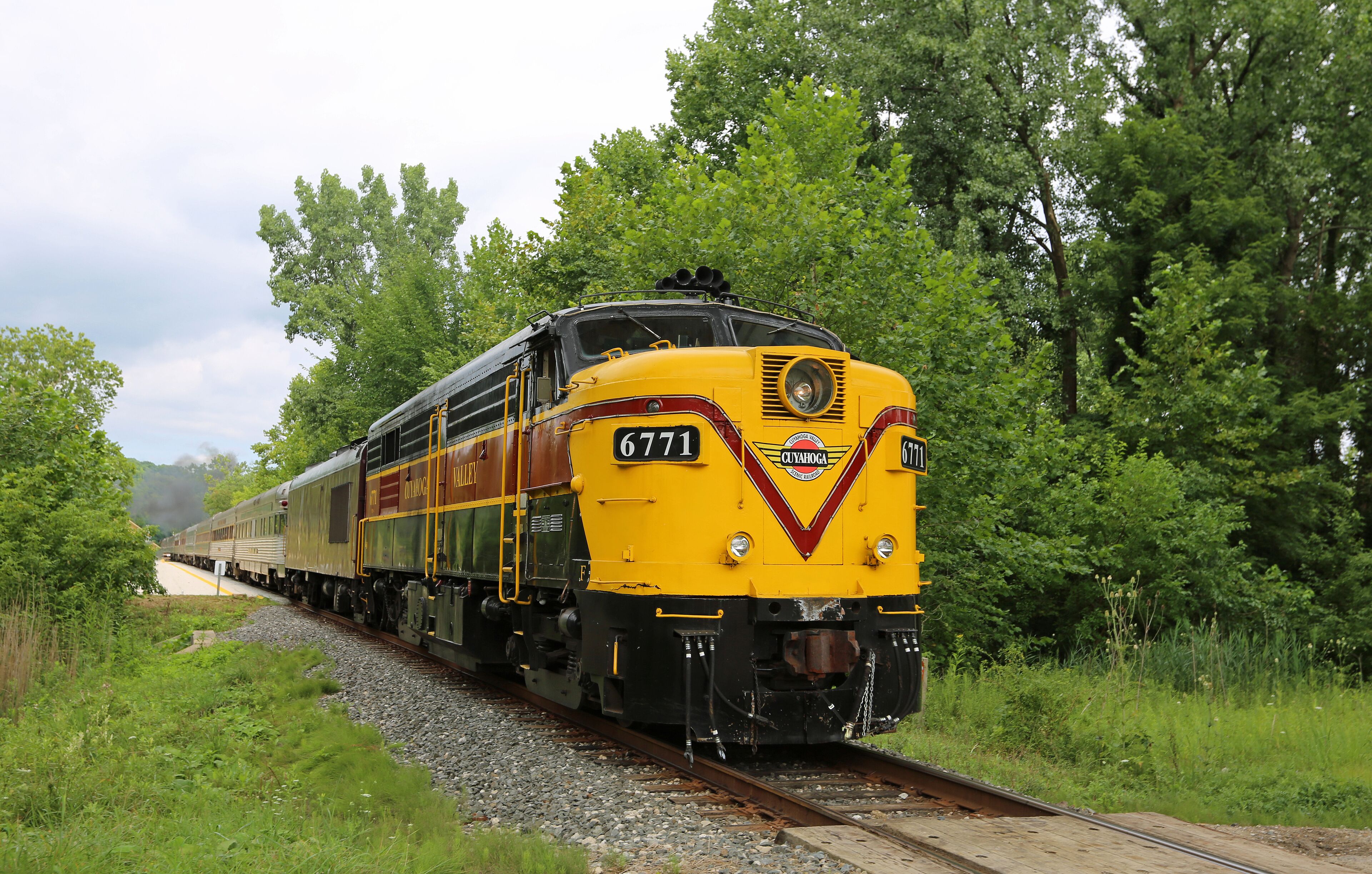 A yellow train numbered 6771 traveling on tracks surrounded by lush greenery.
