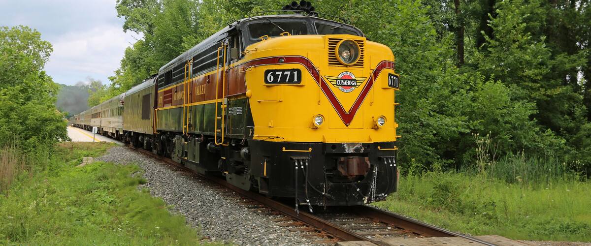 A yellow train numbered 6771 traveling on tracks surrounded by lush greenery.