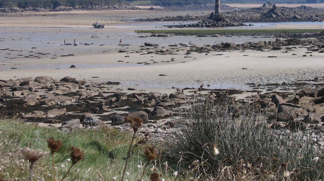 Île-Grande quartier de Pleumeur-Bodou dans les Côtes-d'Armor Bretagne
