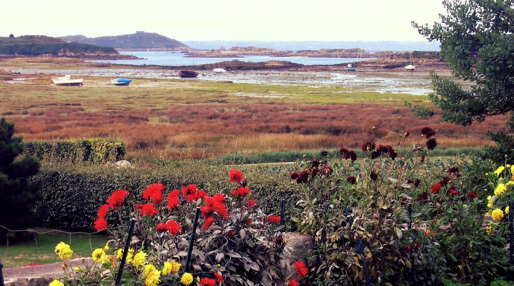 Île-Grande quartier de Pleumeur-Bodou dans les Côtes-d'Armor Bretagne