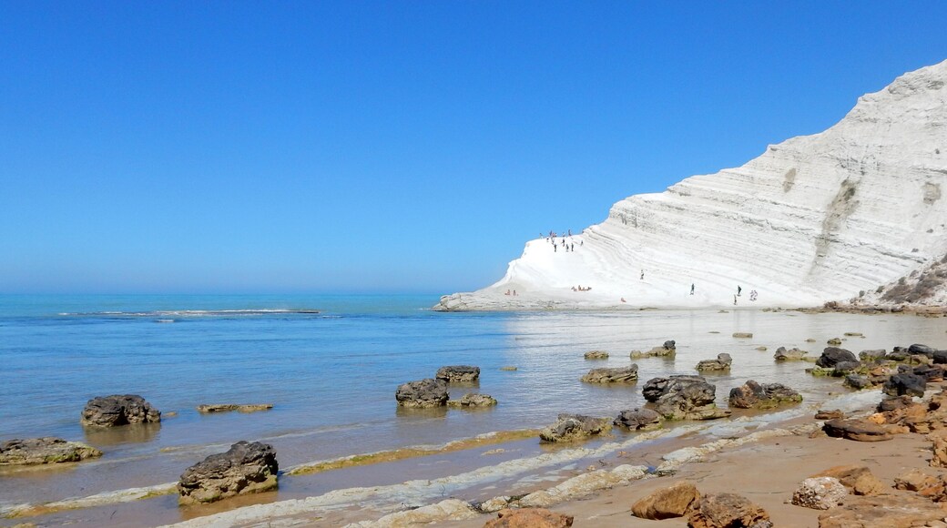 The authorisation for taking photos of this object was provided by the World Wide Fund for Nature Italy.