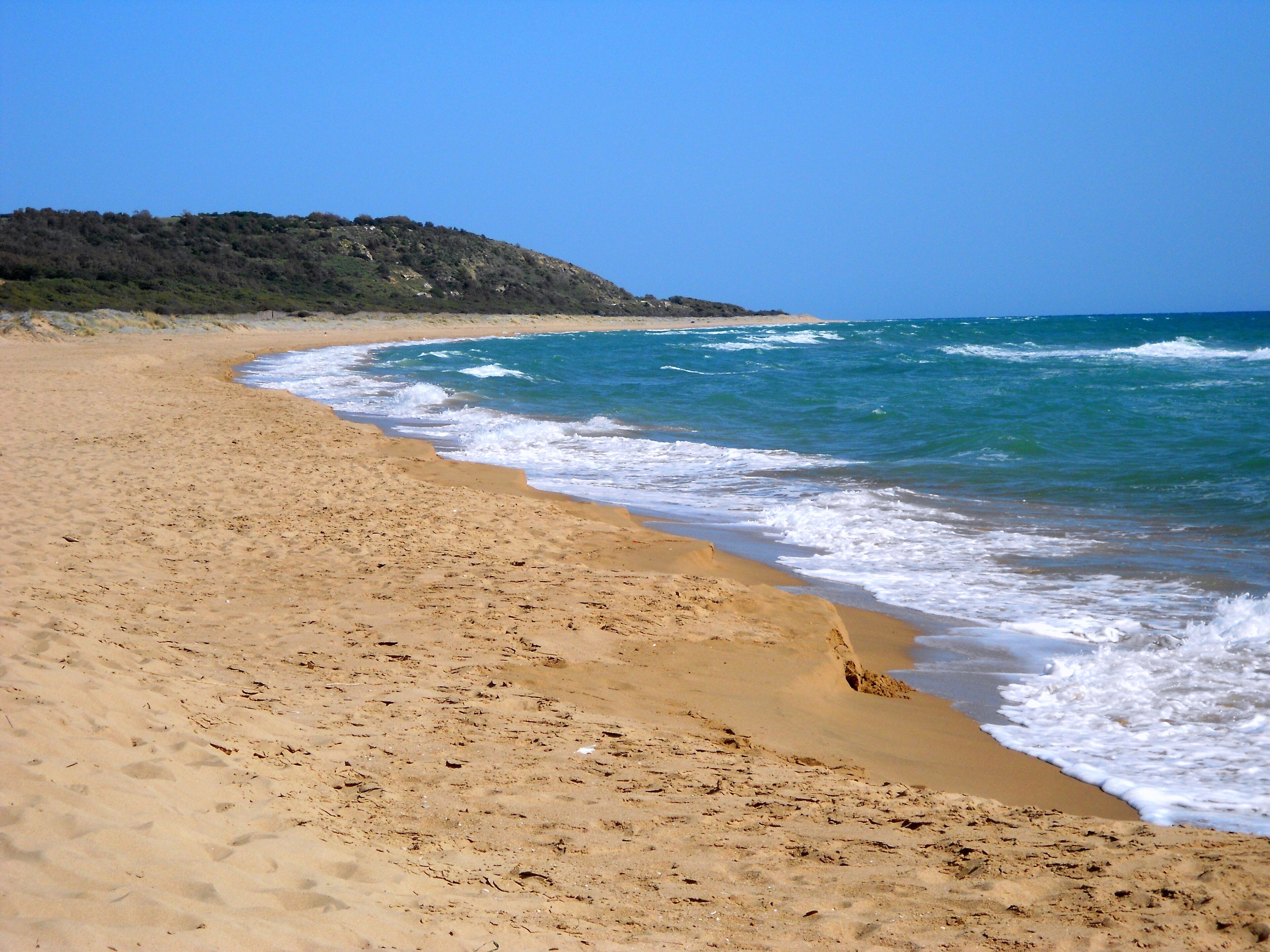 A sandy beach with gentle waves and a forested hill in the background.
