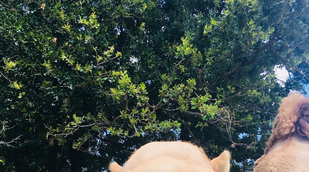 Close encounters! He was my favorite however there were many animals to see, feed, and learn about. Drive through park.