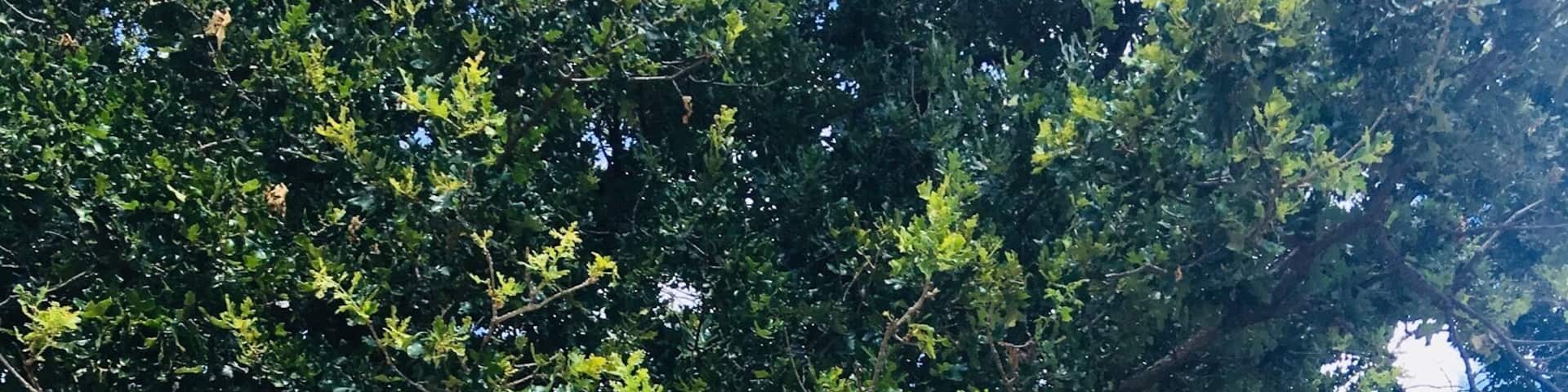 Close encounters! He was my favorite however there were many animals to see, feed, and learn about. Drive through park.