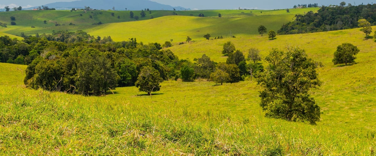 Atherton Tablelands showing landscape views and tranquil scenes
