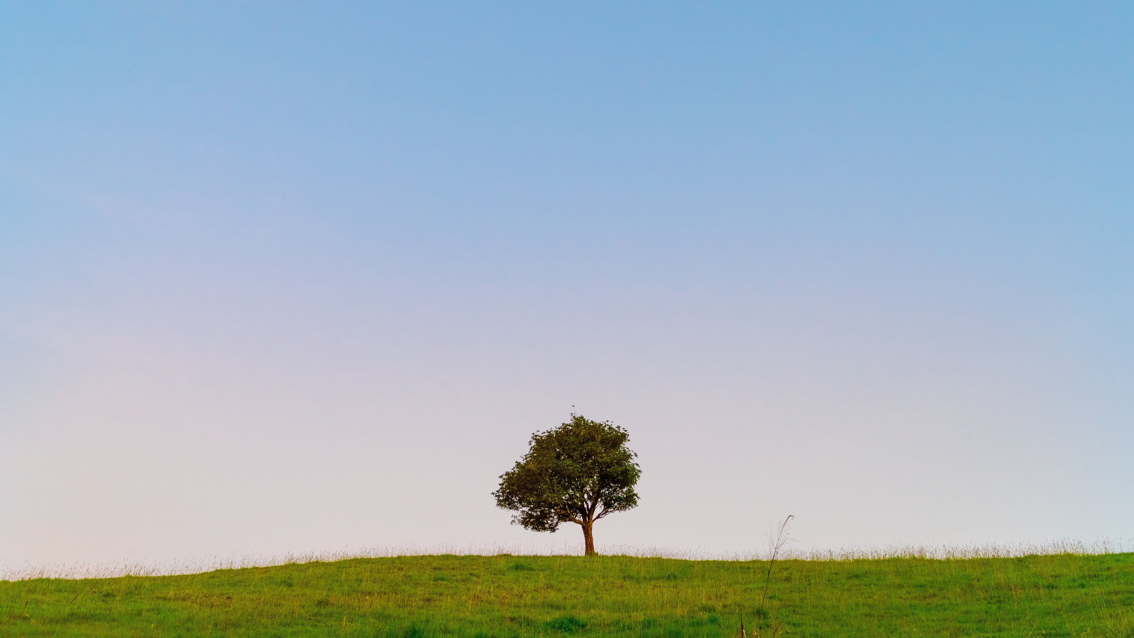 Atherton Tablelands which includes a sunset and tranquil scenes