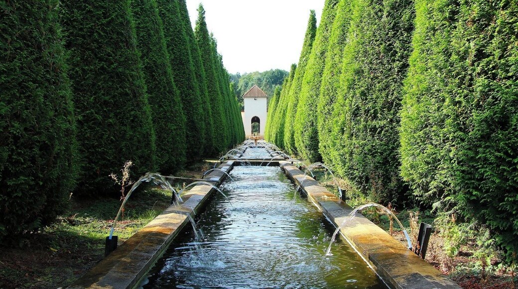 Mondo Verde Theme Park with Gardens of different countries like Spain, England, Austria and Portugal, Japan a Must for likers of nature or gardens all kind. A wonderful place with children all ages also take your Grandparents !
http://www.wereldtuinenmondoverde.nl/nl/dierenplaza/