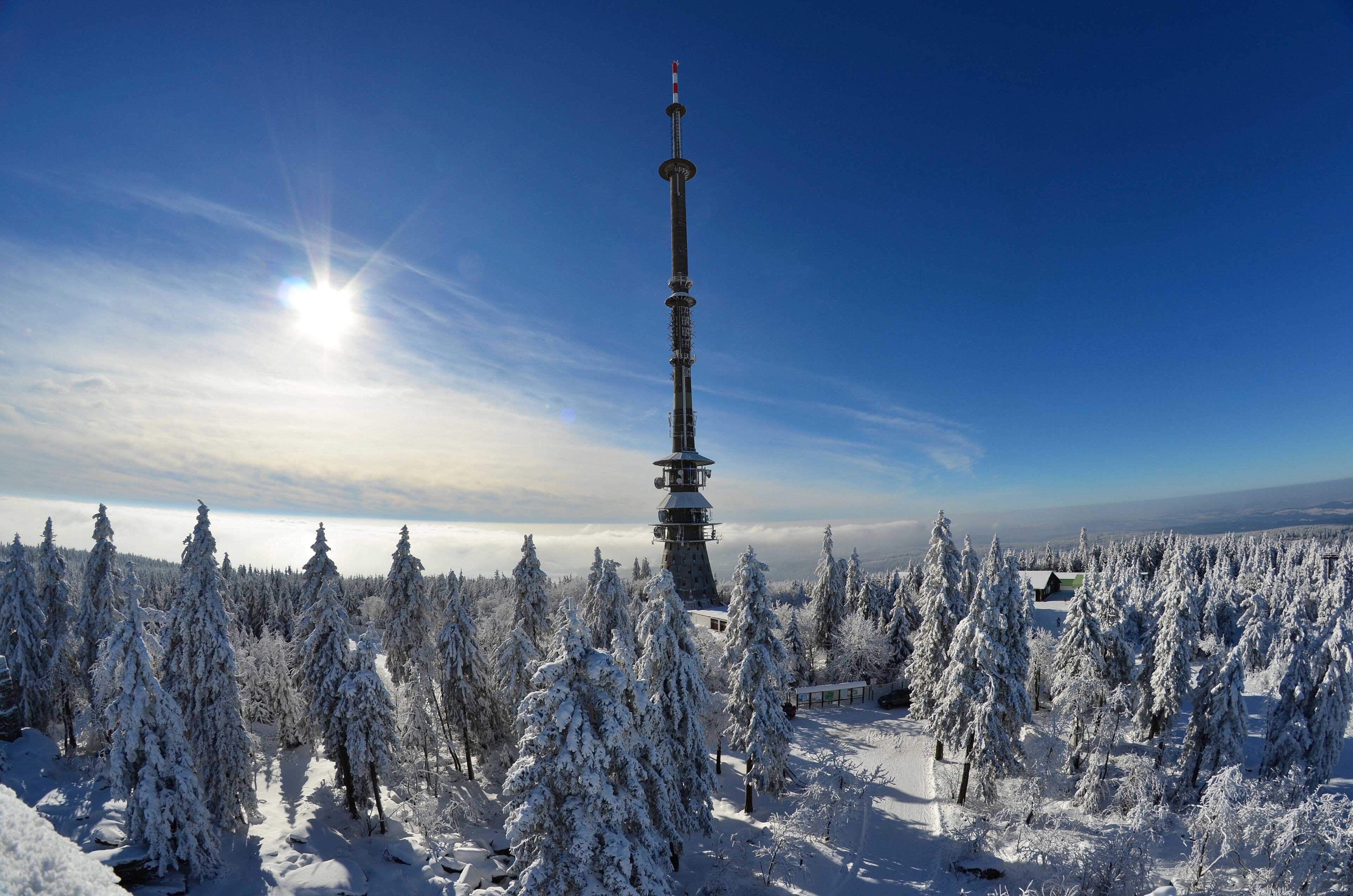 A snow-covered forest with a tall tower structure.