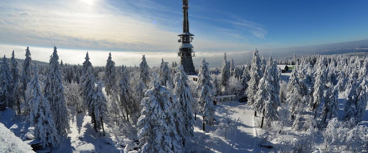 A snow-covered forest with a tall tower structure.