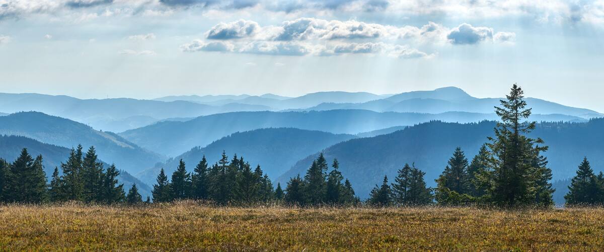 moody panoramic Black Forest landscape on Feldberg summit near Titisee-Neustadt, Baden Wuerttemberg, Germany