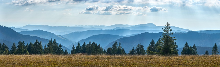 moody panoramic Black Forest landscape on Feldberg summit near Titisee-Neustadt, Baden Wuerttemberg, Germany