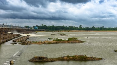 Landscape View of Barrage with Log gates.