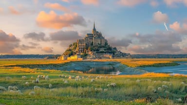 A historic castle on a hill, surrounded by a river and grazing sheep.