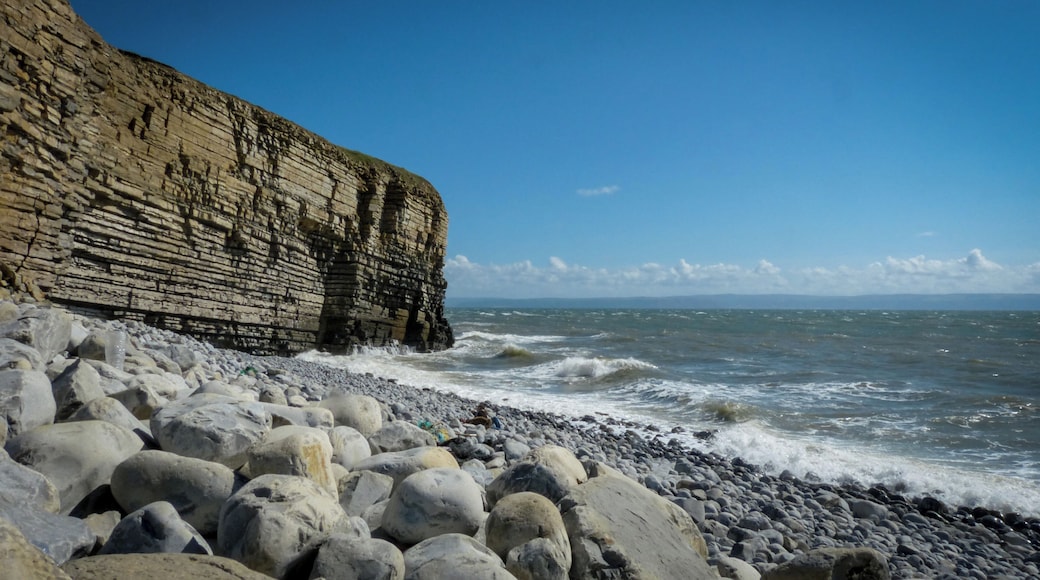Nash Point
