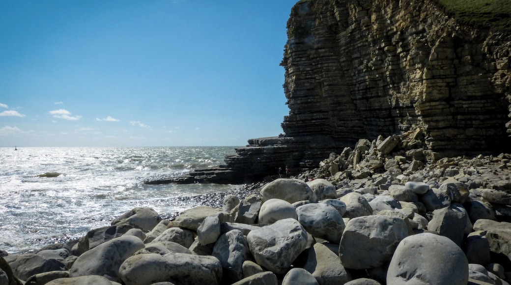 Nash Point
