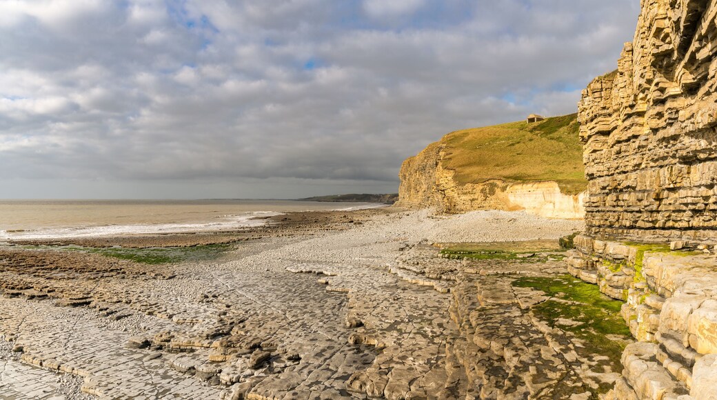 The cliffs of Monknash Beach, Vale of Glamorgan, Wales, UK