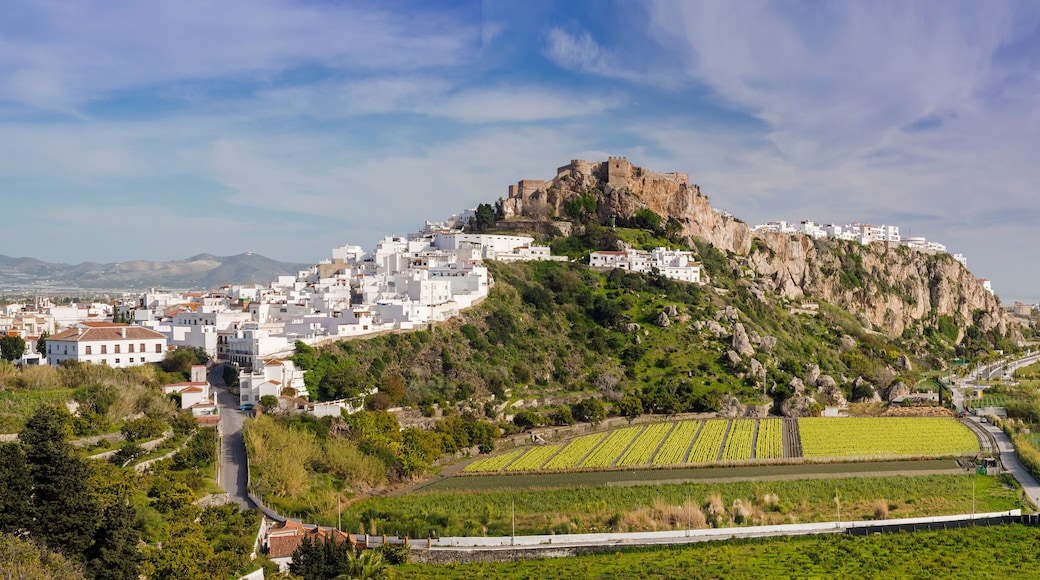 Townscape, Salobrena, Granada, Andalusia, Spain