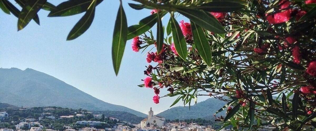 If you're in the Catalonia region of Spain, you'll find some of the country's most beautiful beaches on the Costa Brava. One of the prettiest ones is Cadaqués, which has been home to artists like Picasso and Dali.
It's not hard to see why they liked it so much - the combination of a white- walled village and the turquoise sea make Cadaqués seem like it popped off a postcard and into real life. (#beach)