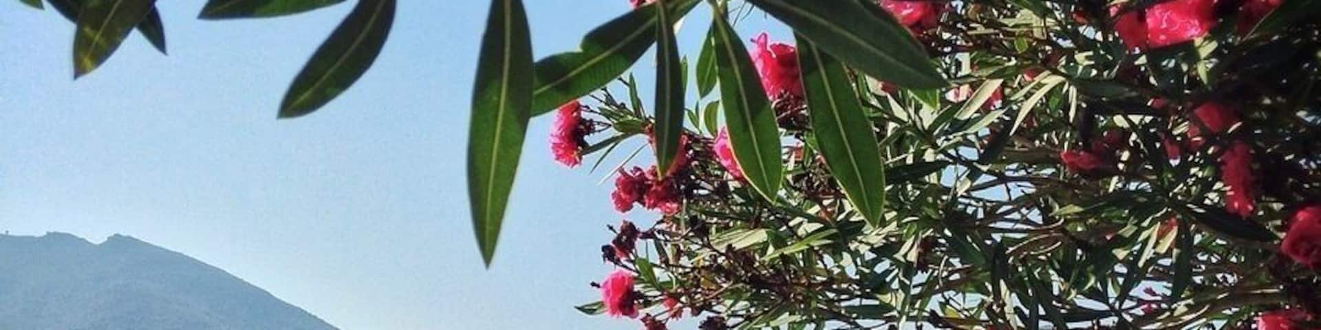 If you're in the Catalonia region of Spain, you'll find some of the country's most beautiful beaches on the Costa Brava. One of the prettiest ones is Cadaqués, which has been home to artists like Picasso and Dali.
It's not hard to see why they liked it so much - the combination of a white- walled village and the turquoise sea make Cadaqués seem like it popped off a postcard and into real life. (#beach)
