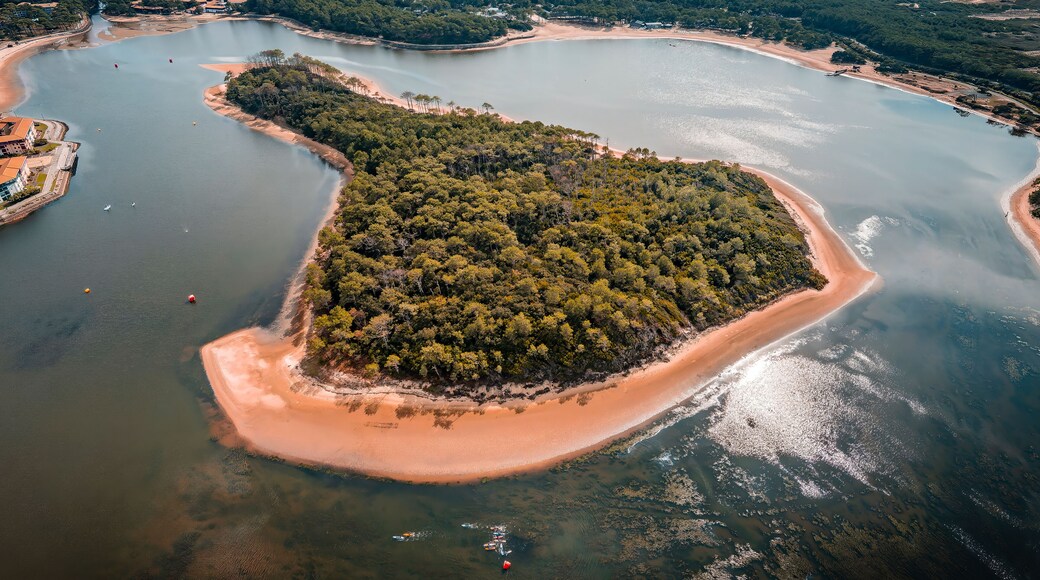 Île du lac d’Albret 3