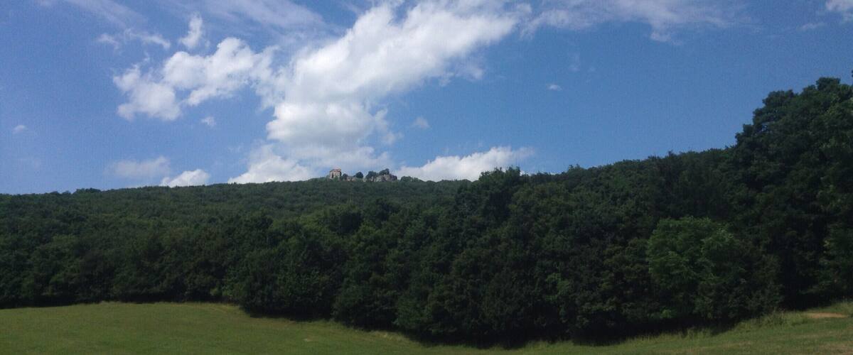 A grassy field with a hill covered in dense trees and a small building on top.