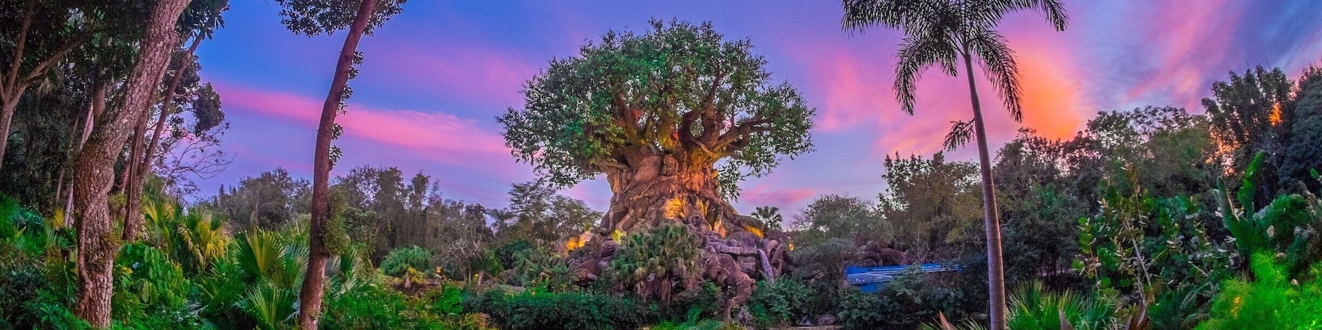 Animal Kingdom is one of my favorite places to photograph in the evening, especially when there's a beautiful sunset as the backdrop. #lifeatexpedia #waltdisneyworld #animalkingdom