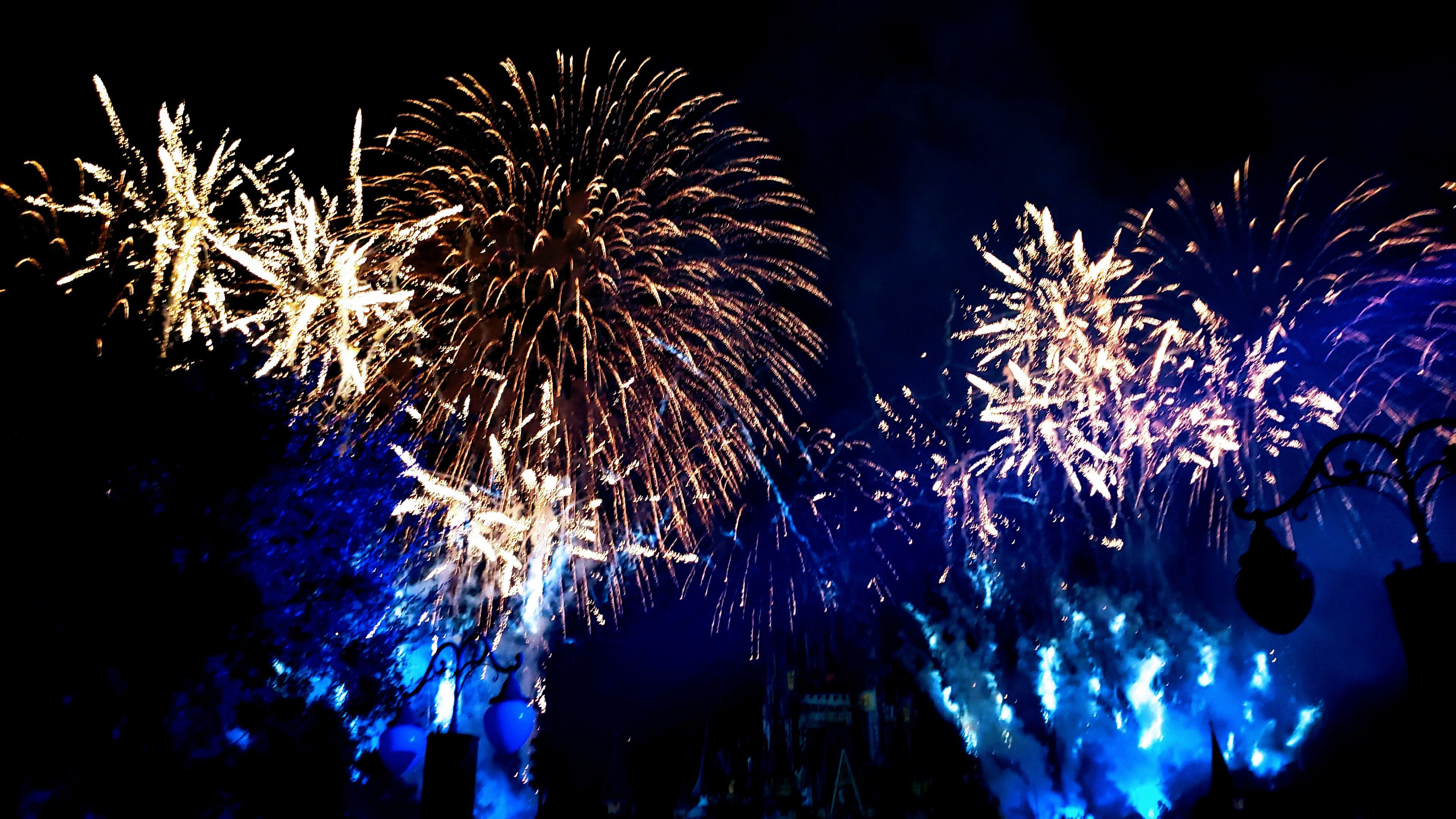 Not so scary fireworks at Magic kingdom WDW
#TROVEMBER