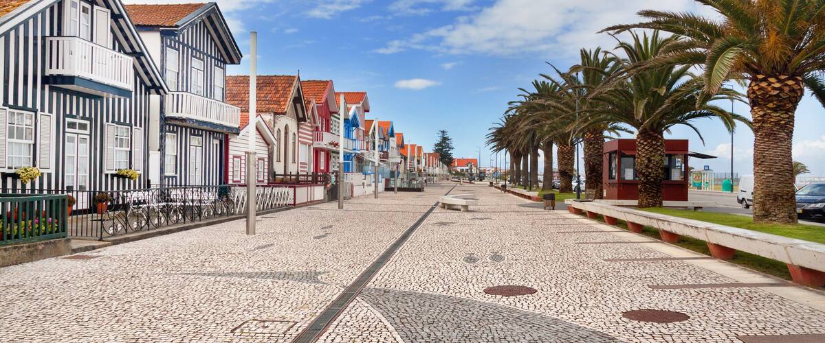 A cobblestone street lined with colorful buildings, palm trees, and a clear blue sky.