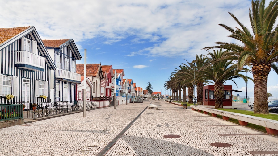 Una calle adoquinada flanqueada por edificios coloridos, palmeras y un cielo azul despejado.