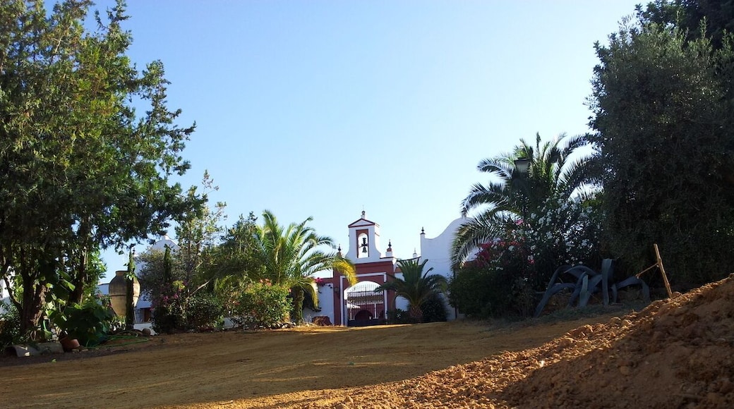 one of the oldest farms in the region in the production of oil and its derivatives