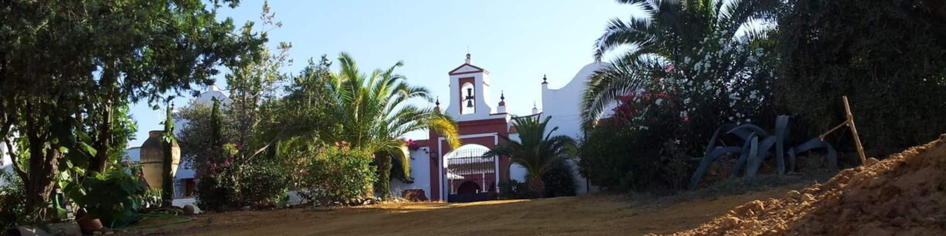 one of the oldest farms in the region in the production of oil and its derivatives