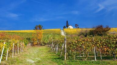 Autunno nelle Langhe, Italia